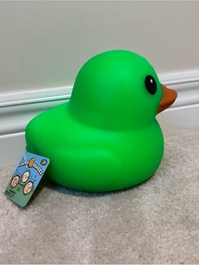 Green Rubber Duck Bird Toy -